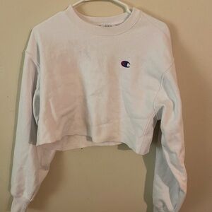 Urban outfitters cropped champion crewneck barely worn super cute and comfy!
